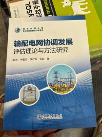 输配电网协调发展评估理论与方法研究