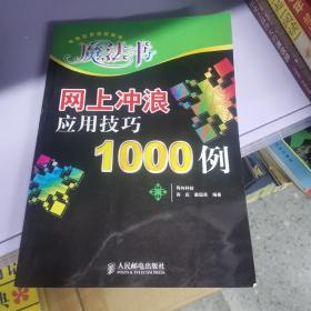 网上冲浪应用技巧1000例——电脑应用排困解难魔法书