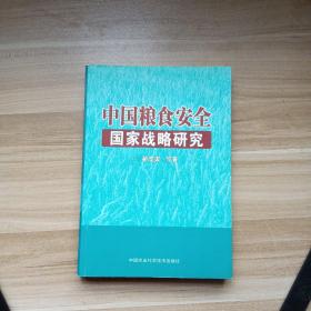 中国粮食安全国家战略研究