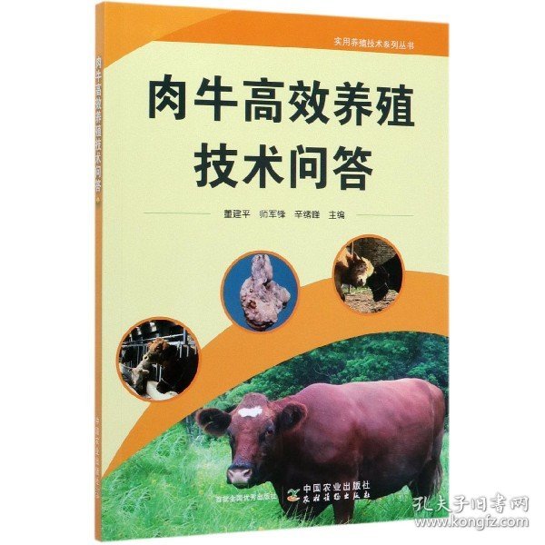 肉牛高效养殖技术问答