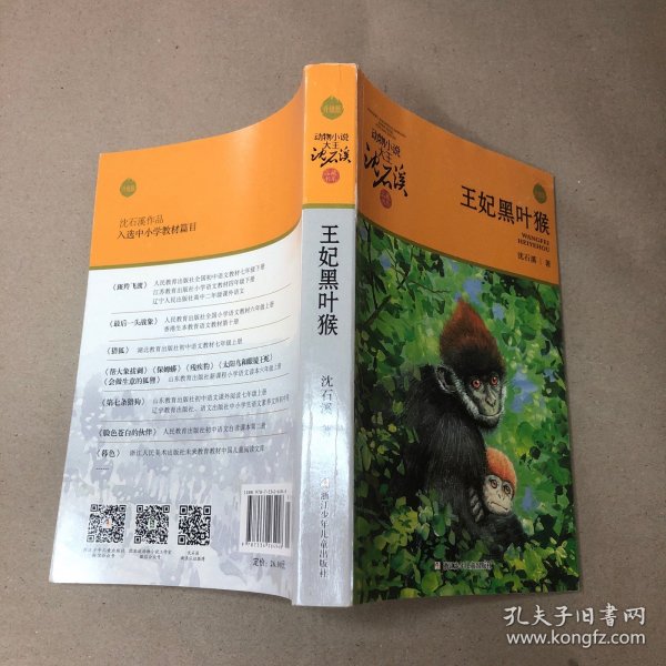 动物小说大王沈石溪：王妃黑叶猴