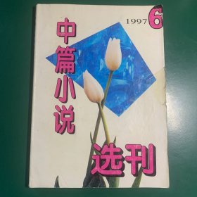 中篇小说选刊~1997年6