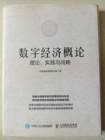 数字经济概论：理论、实践与战略