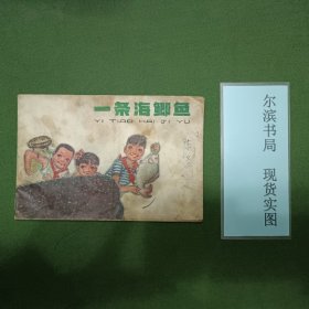 一条海鲫鱼