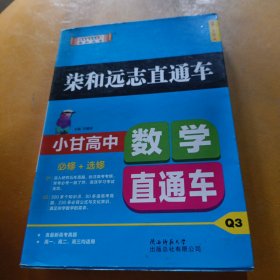 2019版柒和远志直通车小甘高中数学直通车