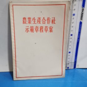 农业生产合作社示范章程草案