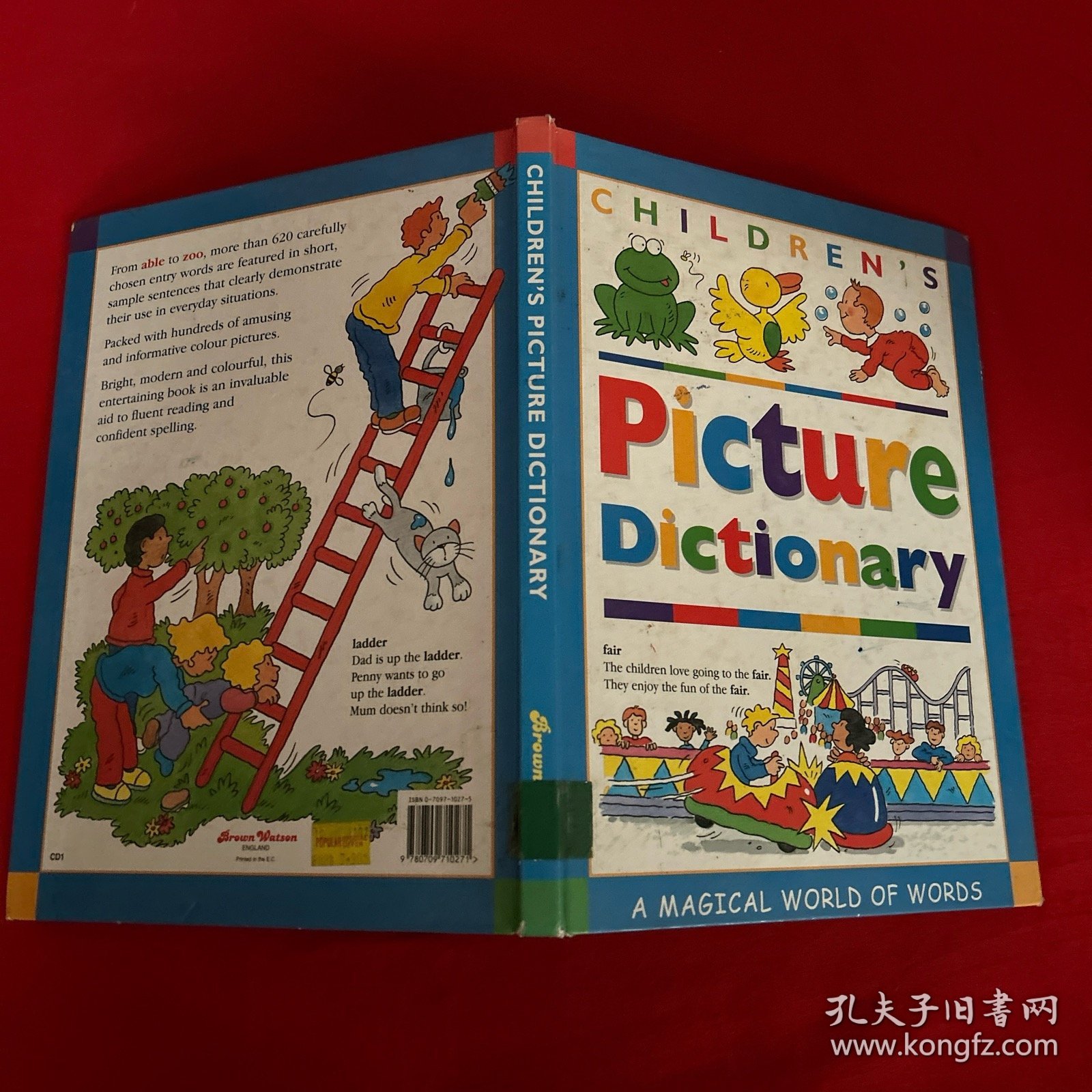 picture dictionary