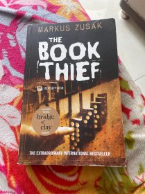 The book thief 英文版 偷书贼