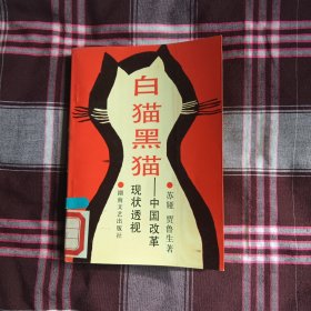 白猫黑猫：中国改革现状透视