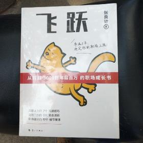 飞跃：从月薪3000到年薪百万的职场成长书