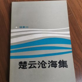 楚云沧海集