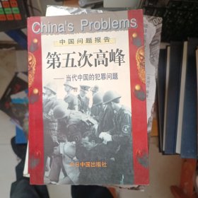 第五次高峰：当代中国的犯罪问题