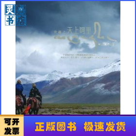 伏藏之天上阿里