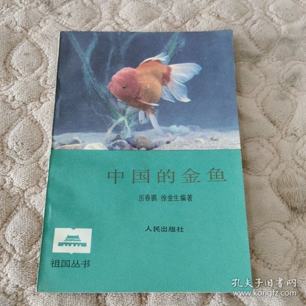中国的金鱼