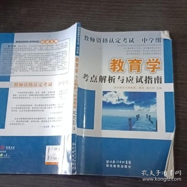 《教育学考点解析与应试指南》