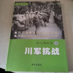 建川博物馆之川军抗战
