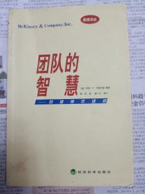 团队的智慧(封面下部塑料包装膜有开胶，封面有折痕）