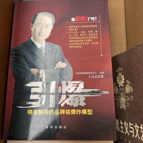 引爆－精准制导的品牌核爆炸模型