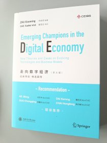 Emerging Champions in the Digital Economy （走向数字经济英文版）