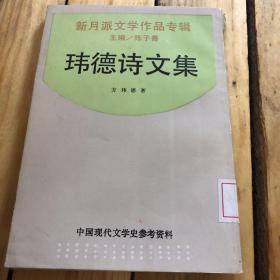 说谎者：新月派文学作品专辑