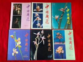 中国兰花 1994年全年1-6期【16开本见图】H12