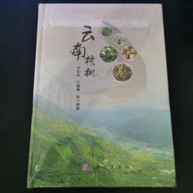 云南核桃 全新塑封未拆