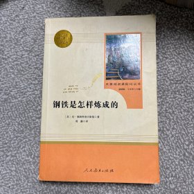 统编语文教材配套阅读 八年级下：钢铁是怎样炼成的/名著阅读课程化丛书