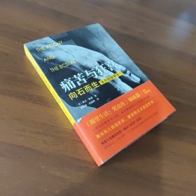 痛苦与狂喜:向石而生：米开朗基罗传①