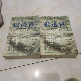 狠透铁（上下）