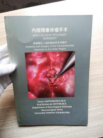 内窥镜垂体瘤手术 经蝶鞍区入路的解剖和手术操作