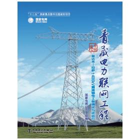 《青藏电力联网工程 专业卷 柴达木拉萨±400kV直流输电工程调试与试运行》