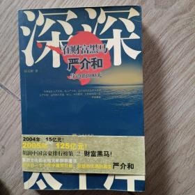 深深太平洋：在财富黑马严介和身边的800天