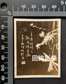 民国嘉兴某名人拍摄并题字的兰花照片