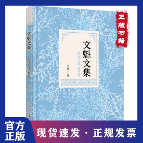 文魁文集——政治經(jīng)濟學新思考 9787563837618