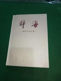 辞海 语言文字分册