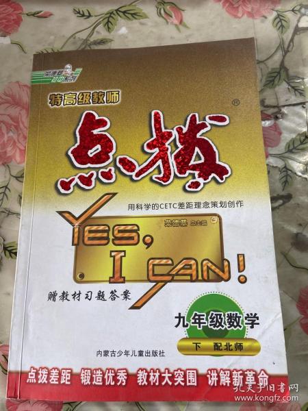 特高级教师点拨：9年级数学（下）（配人教）