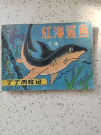 红海鲨鱼下