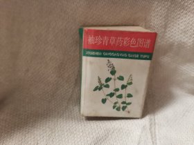 袖珍青草药彩色图谱