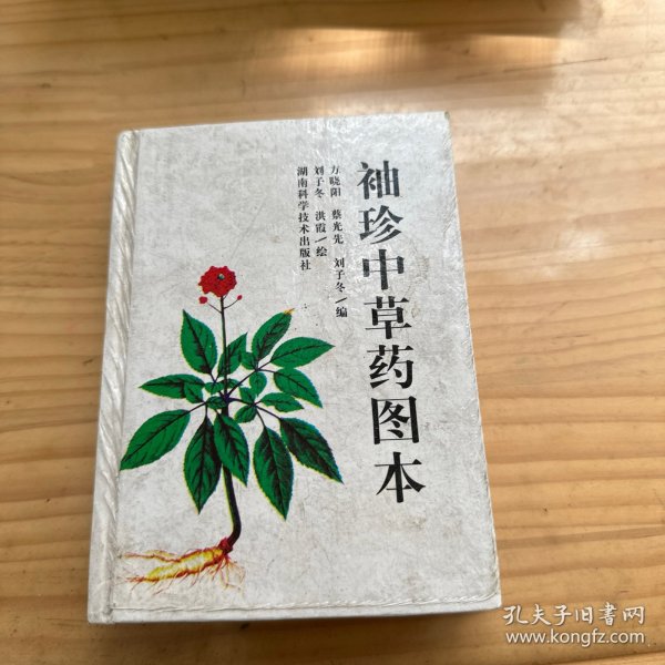 袖珍中草药图本