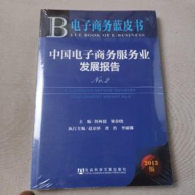 电子商务蓝皮书：中国电子商务服务业发展报告No.2（2013版）