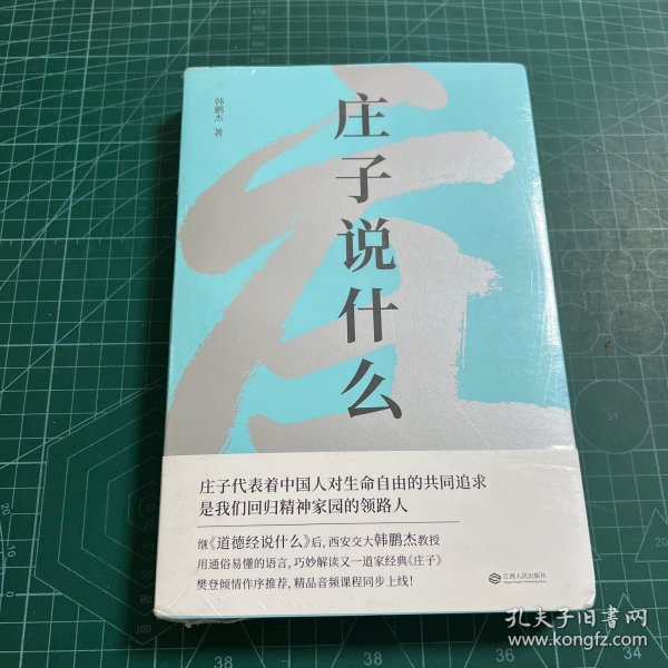 庄子说什么（继《道德经说什么》之后，韩鹏杰又一部道家经典解读著作，樊登作序倾情推荐）