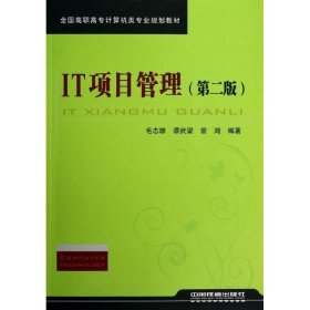 【正版新书】IT项目管理