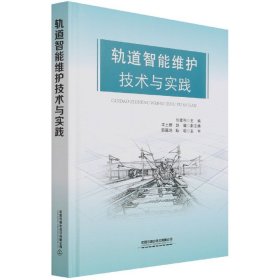 軌道智能維護(hù)技術(shù)與實(shí)踐(精)