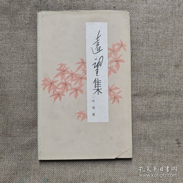 远望集