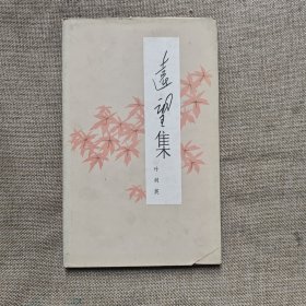 远望集