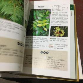 800种中草药彩色图鉴（白金珍藏版）