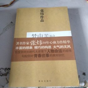 梦中苦辩：张炜作品
