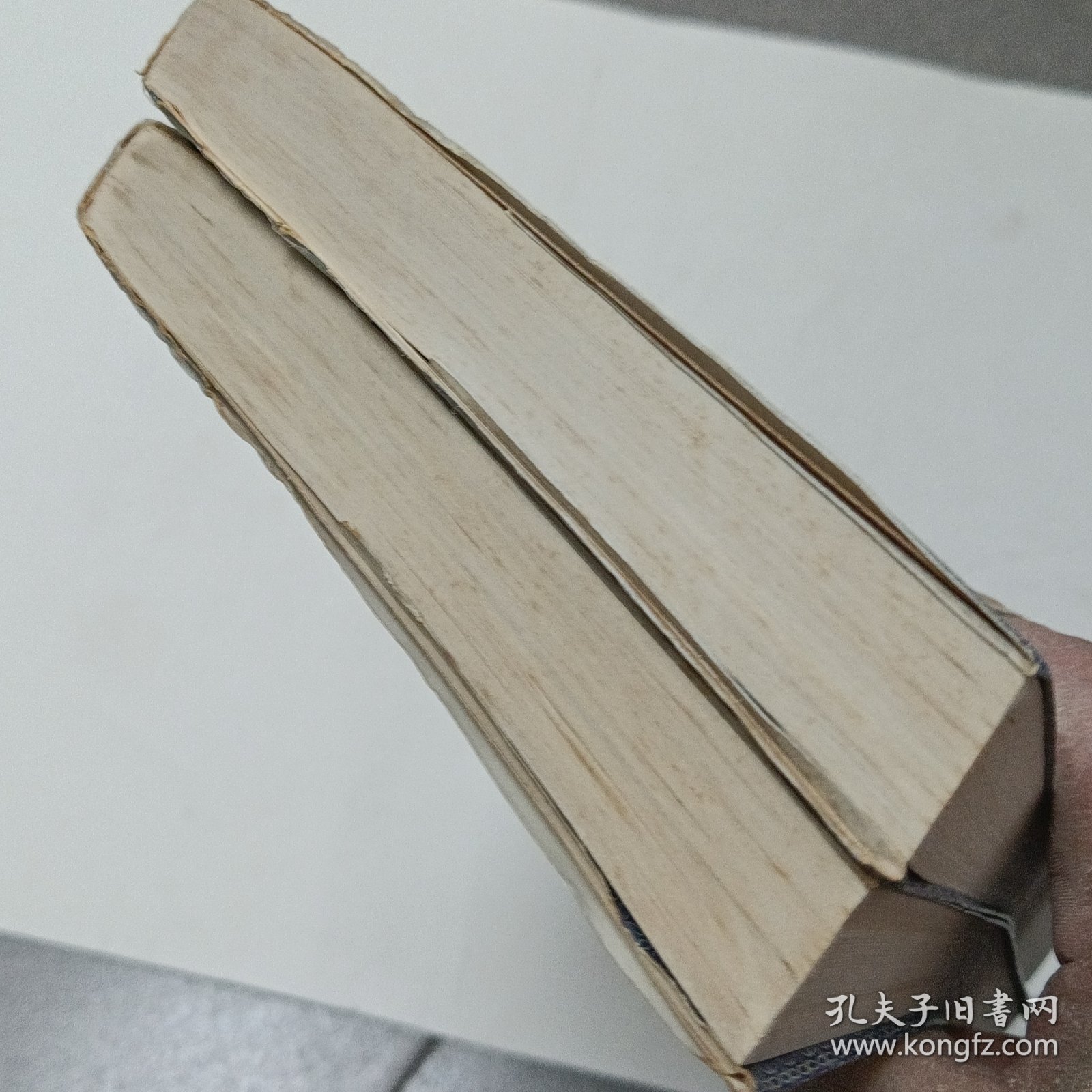 群龙之首