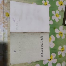 论现代汉语中的量词