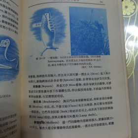 海洋学